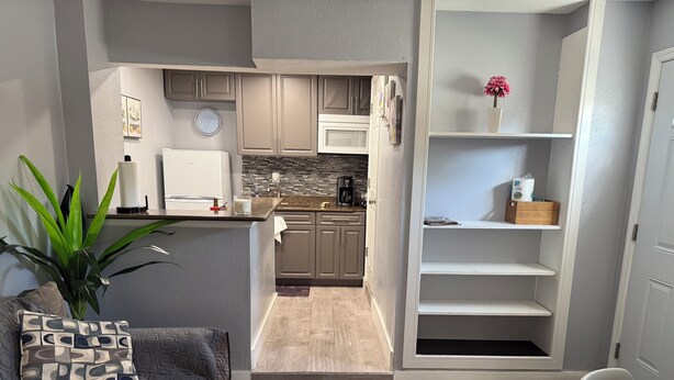 A modern kitchen with grey cabinets, a microwave, and a coffee maker. There is a plant on the counter and a clock on the wall. - Stay in style and comfort (central location) (Tampa)