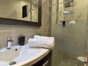 Shower, hair dryer, towels