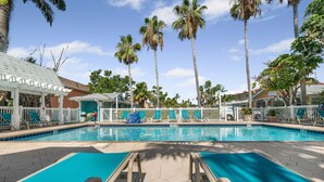 Une piscine avec des chaises longues et des palmiers.