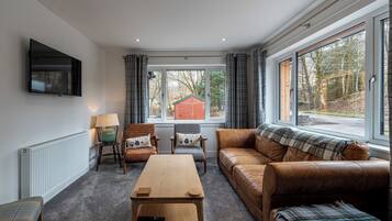 TV connectée, cheminée