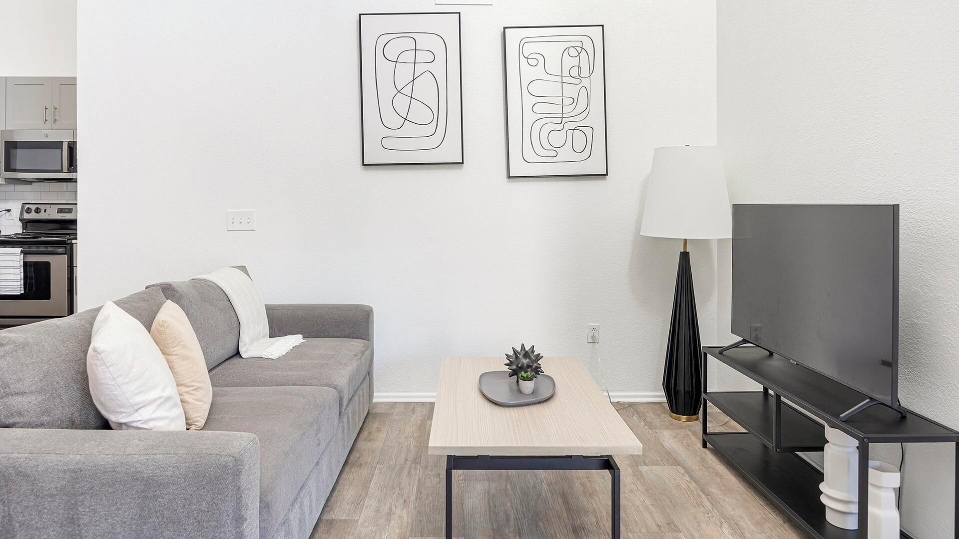 A modern living room with a grey sofa, a small table with a plant, a TV on a black stand, and two abstract art pieces on the wall.