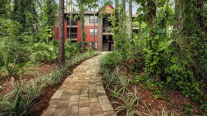 A pathway leading to a building surrounded by dense greenery and trees.