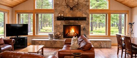 تلفزيون، مدفأة