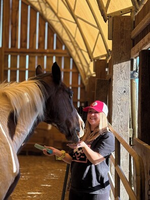 Miscellaneous - Enjoy a Rustic Farm Stay on our Agri-Tourism & Wellness Farm! Cozy Space for two (Strathroy)