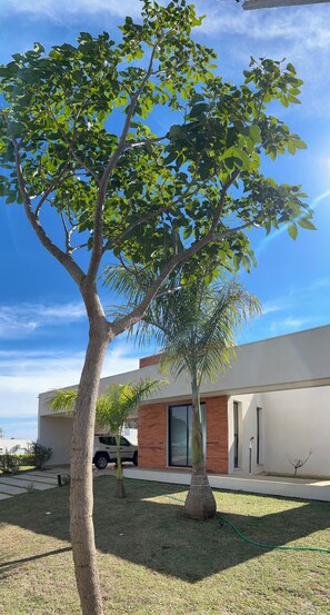 Ein modernes Haus mit einem großen Baum im Vorgarten.
