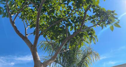 Pet-friendly country house We accept pets of all sizes 