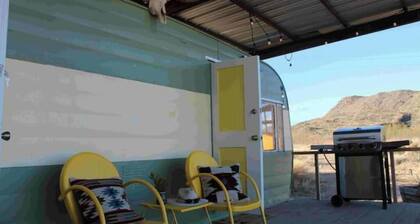 Terlingua Longhorn