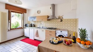 A compact kitchen with a window, a microwave, a stove, and a sink. There is a red rug on the floor and a table with fruits and a bottle. - Lovely apartment in Pedavena with WiFi (Pedavena)