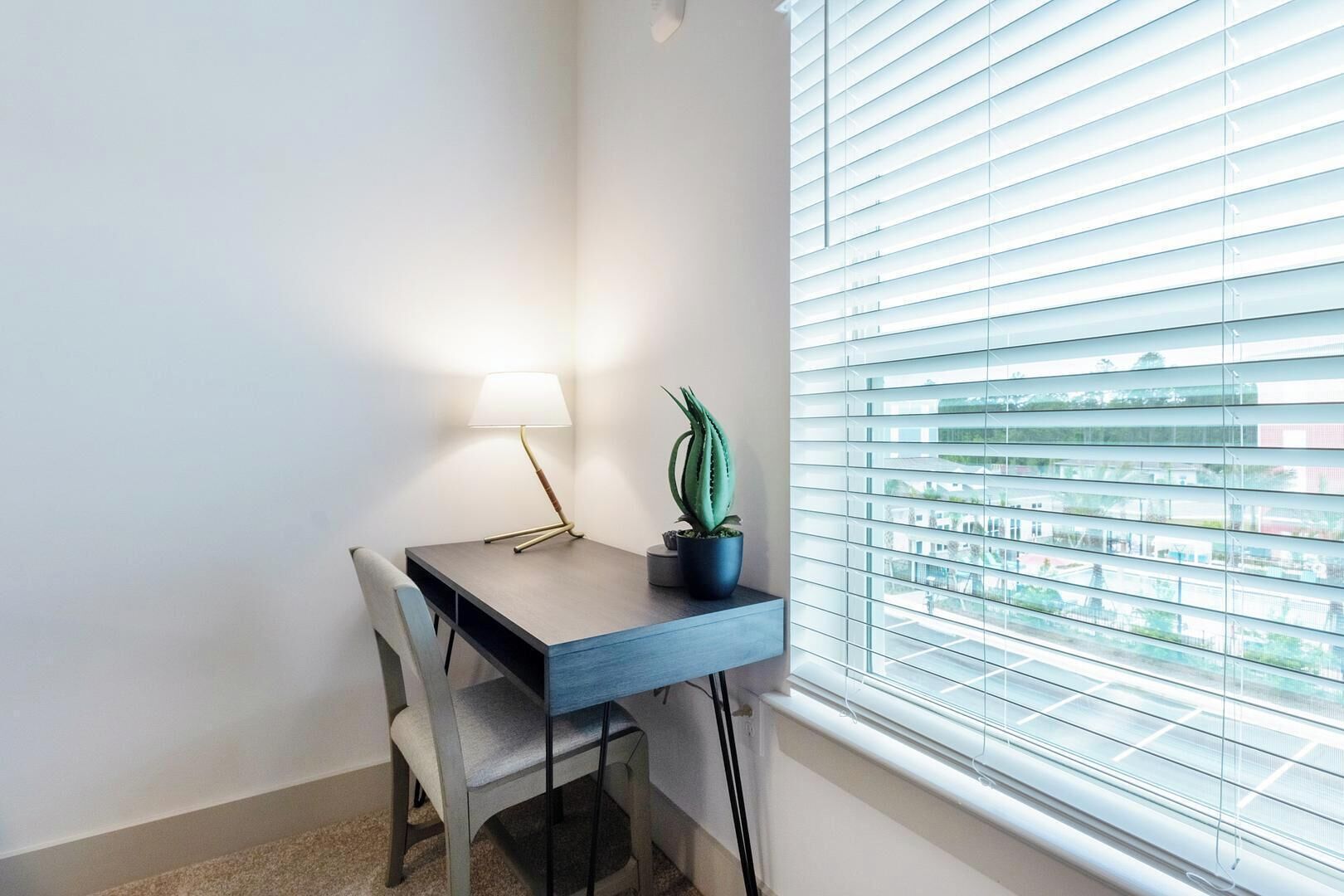 Ett hörnrum med ett skrivbord, en stol, en lampa och en krukväxt.