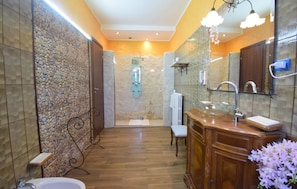 Shower, hair dryer