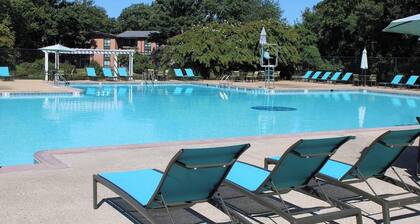 Landing | Amazing 1BD, Pool, Gym