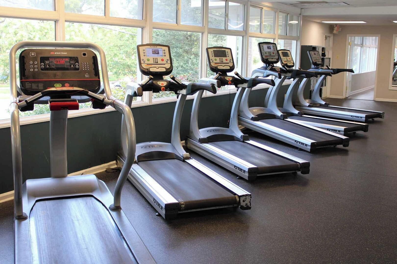Une rangée de tapis de course dans une salle de sport dotée de grandes fenêtres et offrant une vue sur les arbres à l’extérieur.