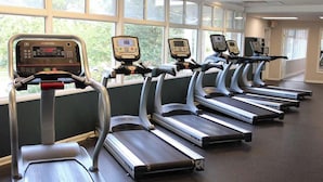Une rangée de tapis de course dans une salle de sport dotée de grandes fenêtres et offrant une vue sur les arbres à l’extérieur.