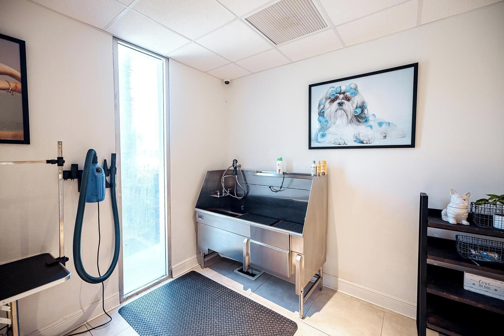 A pet grooming station with a sink, grooming tools, and a framed picture of a dog.