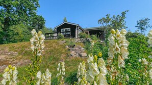 A house with a stone foundation, surrounded by a grassy area and flowering plants. - 1 bedroom beautiful home in Ljungskile (Ljungskile)