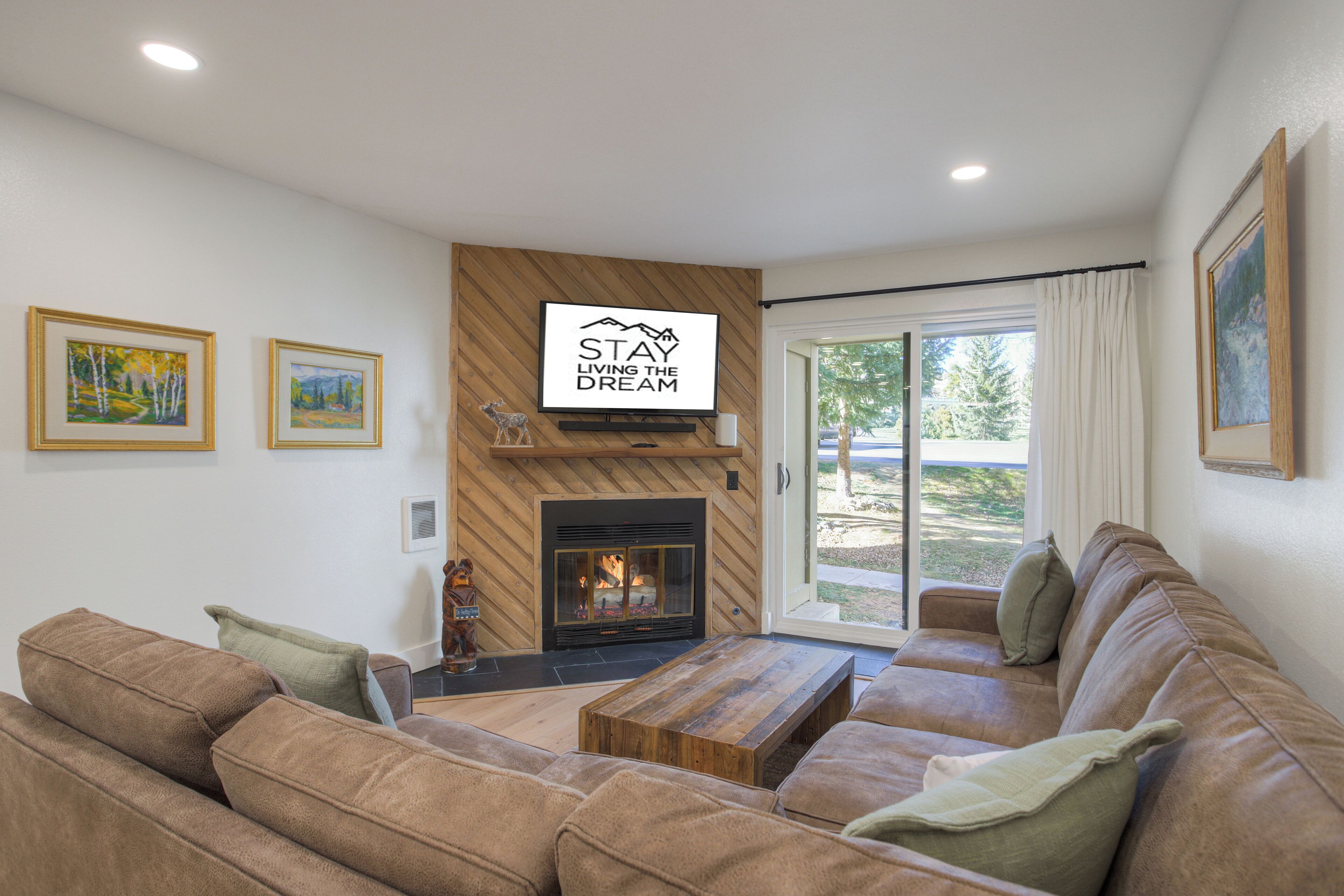 Smart TV, fireplace, books, stereo