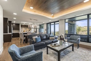 TV, fireplace, offices