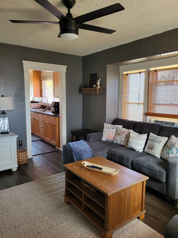 Smart TV, fireplace, books