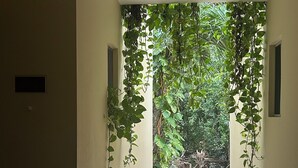 A hallway with a view of a garden through a window.