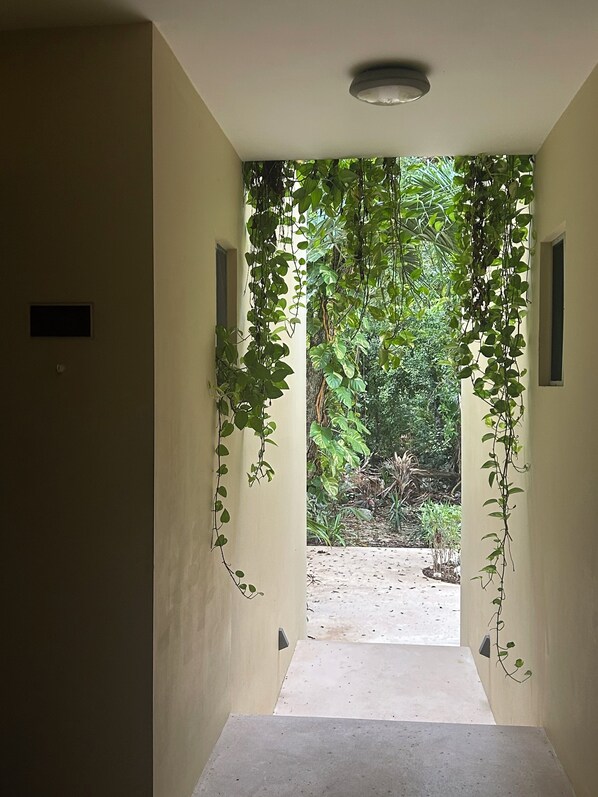A hallway with a view of a garden through a window.