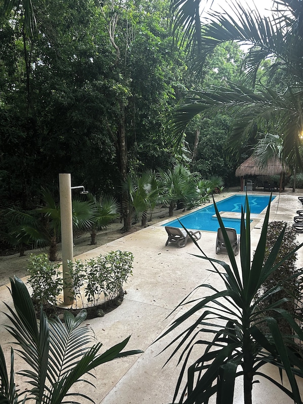 Un área de piscina con sillas de descanso y una estructura de techo de paja rodeada de densa vegetación tropical.
