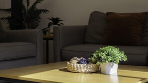 Una sala de estar con un sofá, una mesita de centro y una planta en maceta.