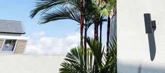 Sascanaluna Padma Bali