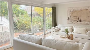 Una televisión, una chimenea