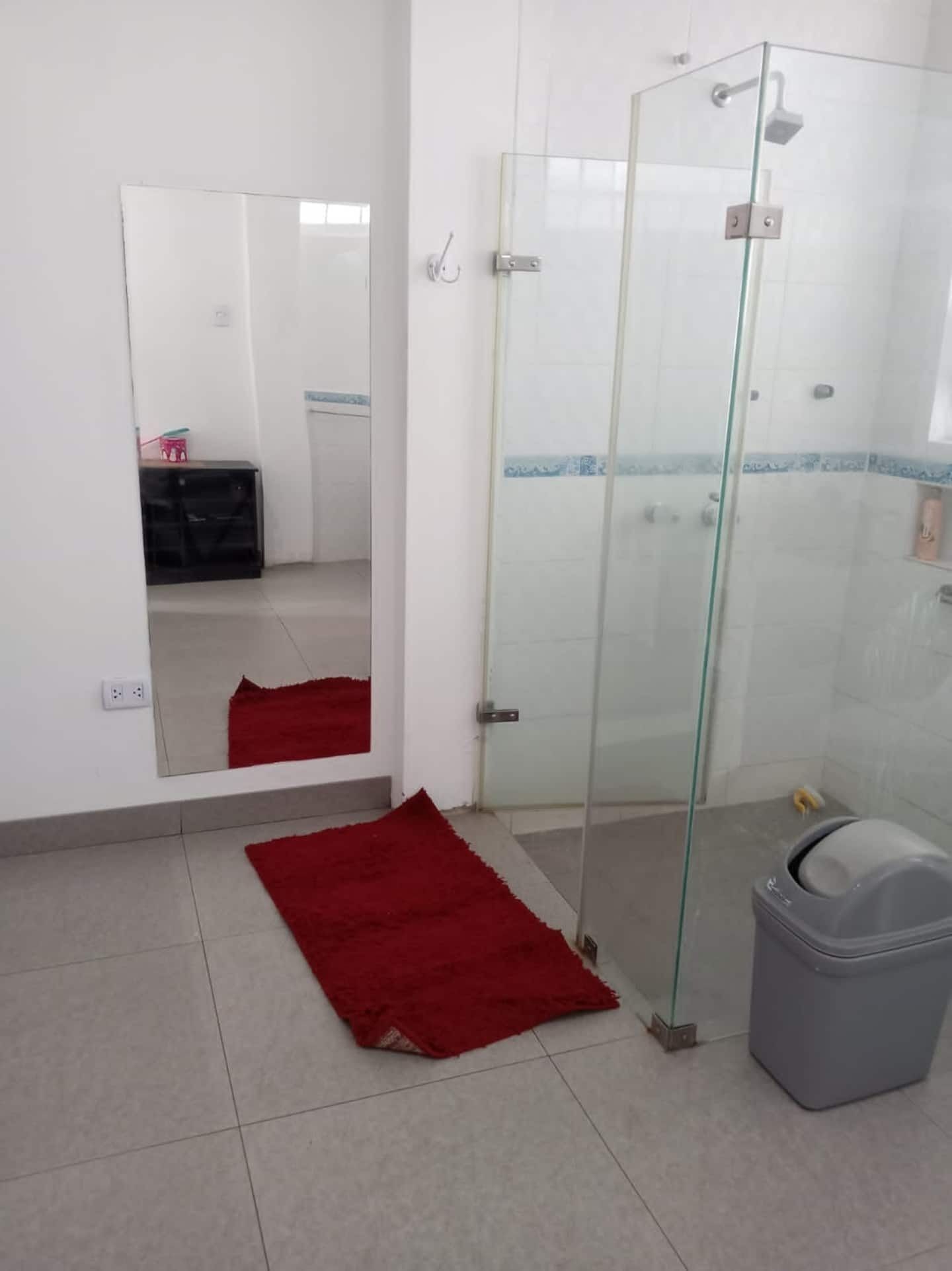 A bathroom with a glass shower enclosure, a red rug, and a grey trash bin.
