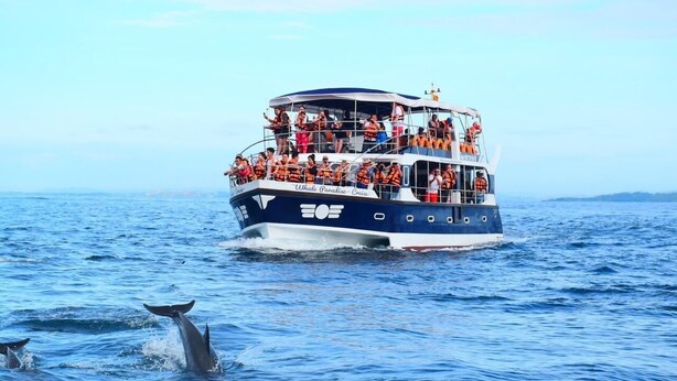 Um barco para observação de baleias de dois andares, com passageiros no convés e golfinhos na água.