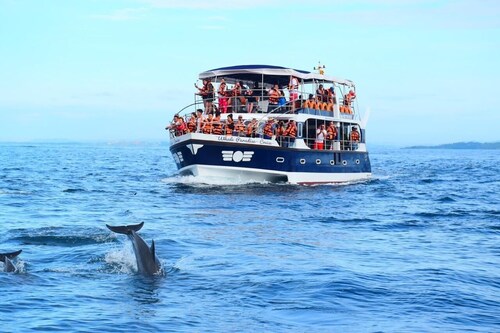 Watch The Real Whale Paradise On Earth