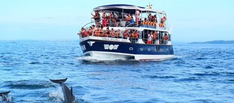 Watch The Real Whale Paradise On Earth