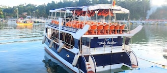 Watch The Real Whale Paradise On Earth