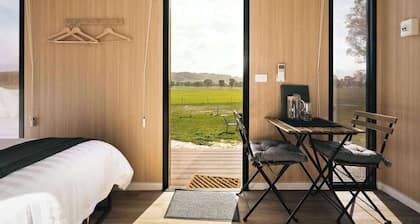 Clyde at Sheltered Paddock by Tiny Away