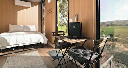 Wren at Sheltered Paddock by Tiny Away