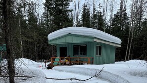 En liten, ljusgrön stuga med ett snötäckt tak, omgiven av ett snöigt landskap och en tät skog.