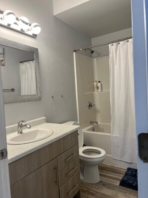 Hair dryer, towels, toilet paper