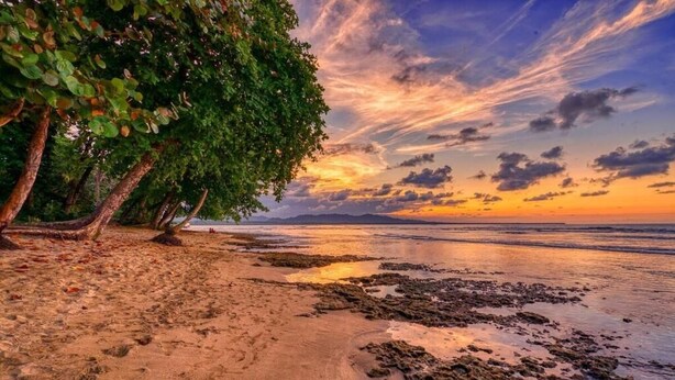 Een strand met bomen en een zonsondergang.
