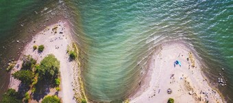 Stay North - Honkala