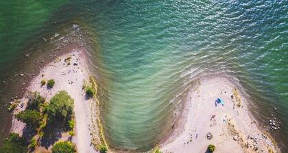 Stay North - Honkala