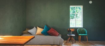 Stay North - Honkala