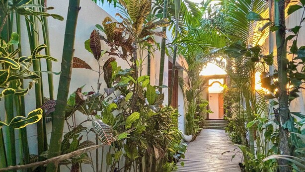 Un sendero de madera bordeado por exuberante vegetación tropical que lleva a la entrada de un edificio.