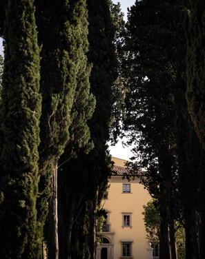 A building with a traditional facade, surrounded by tall, slender trees. - Borgo Pignano Florence (Florence)