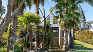 A residential property with a fenced yard, palm trees, a wooden birdhouse, and a pathway leading to a house with a dark facade.