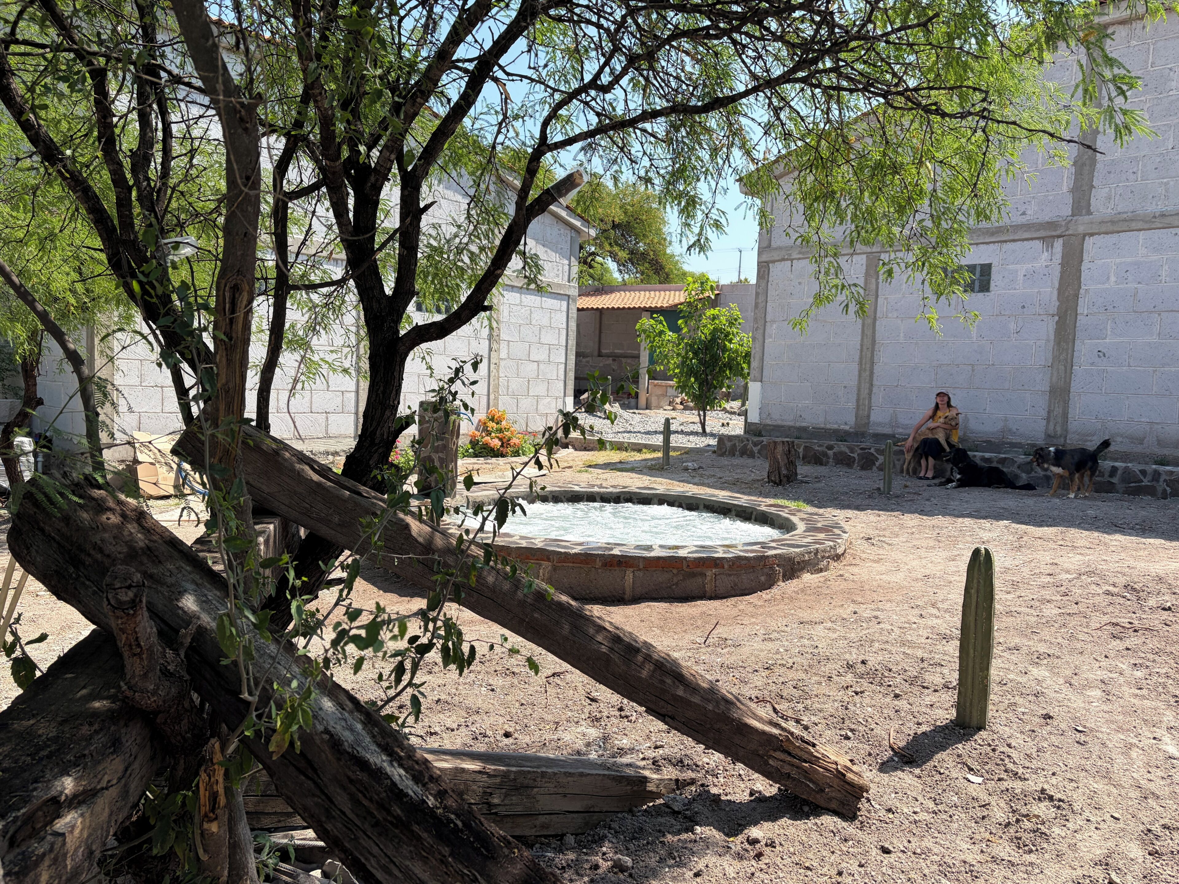 A courtyard with a stone fountain, trees, and a building with a tiled roof.