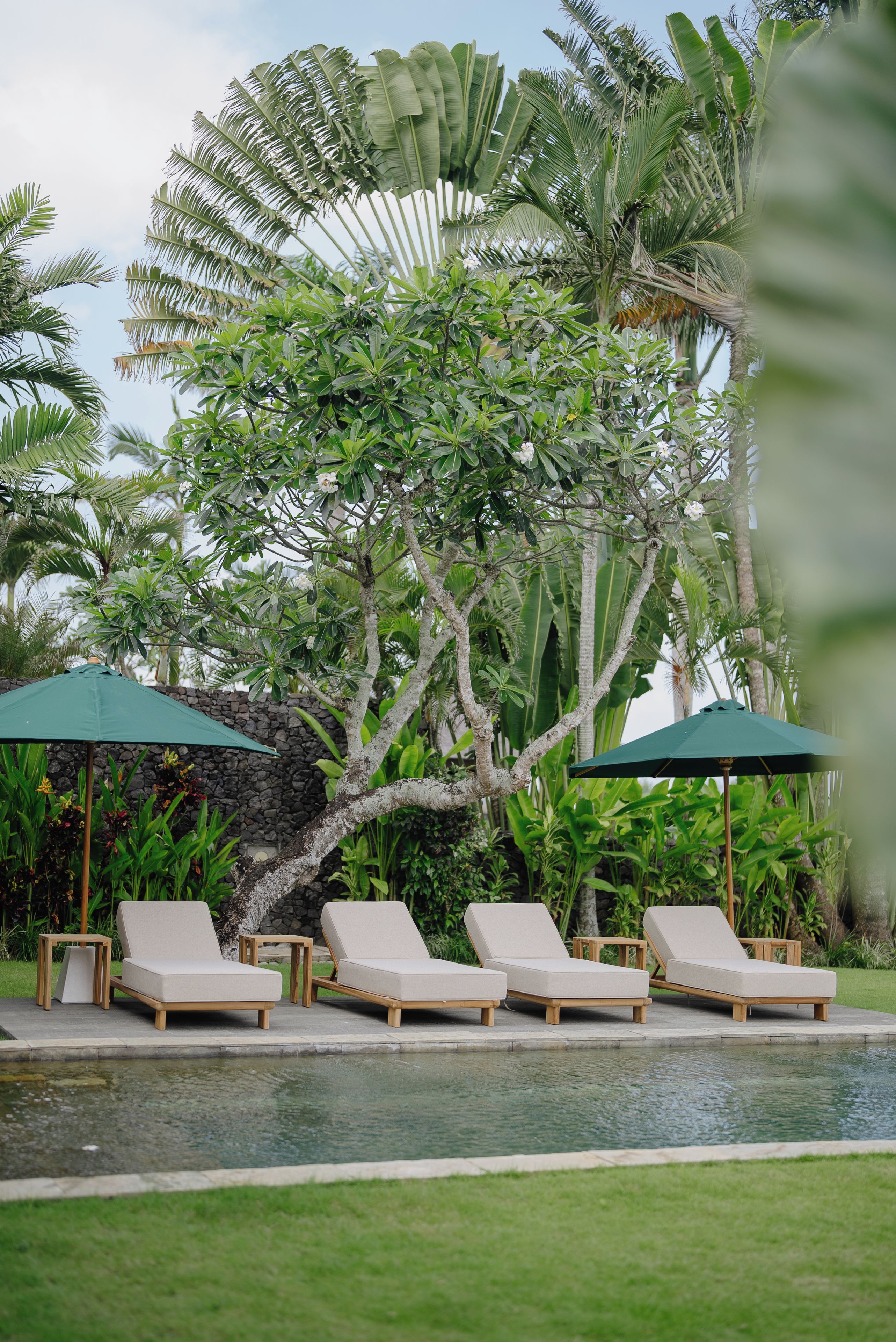 Un espace aménagé au bord de la piscine, avec des chaises longues et des parasols, entouré d’une végétation tropicale luxuriante.