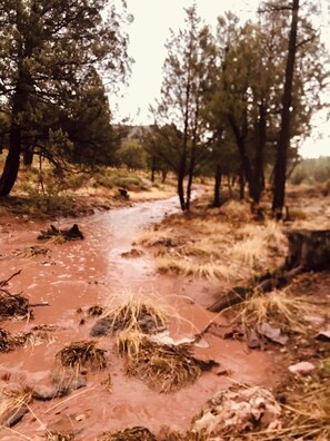 منوع