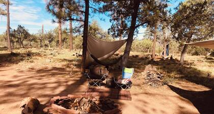 Pull in, Eat, Party, Relax, Sleep, Pull out. Futon Couch, padded floor. Sleeps 6