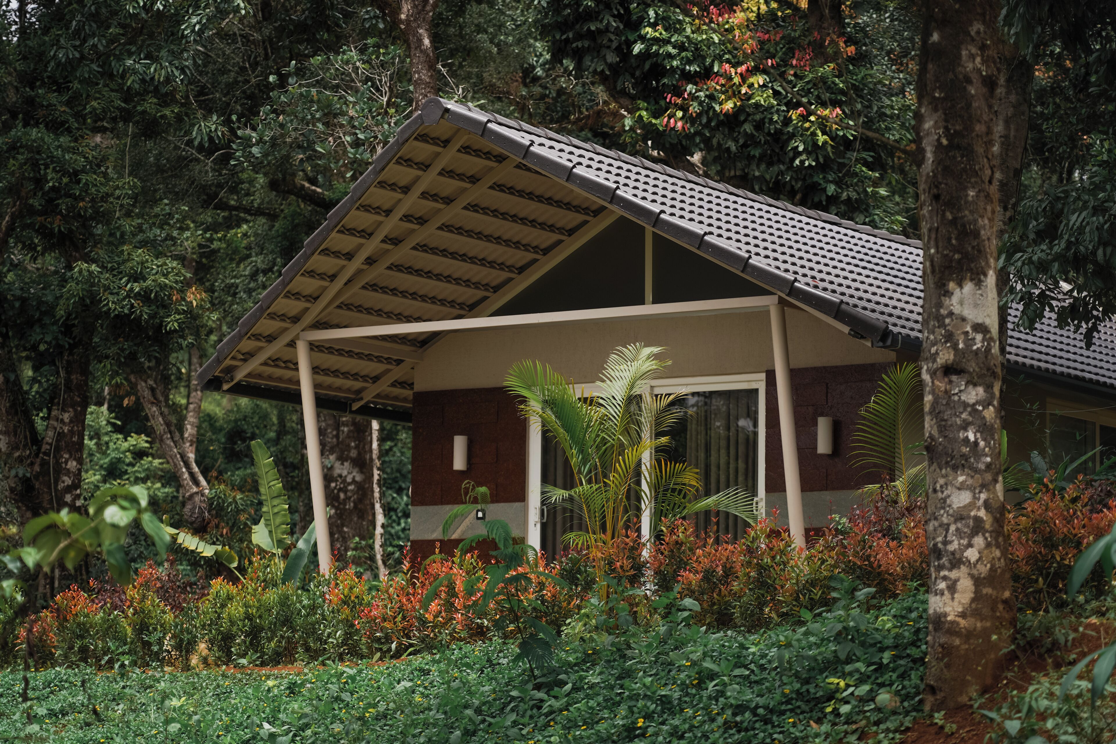 Una casa de techo inclinado, rodeada de vegetación y árboles frondosos.