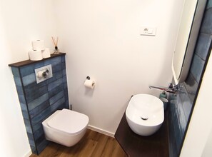 Shower, hair dryer, towels, toilet paper